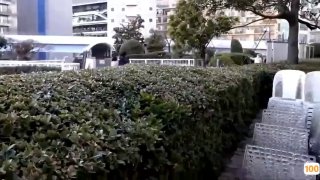 儿童照片骚货上位自己抽插足够骚